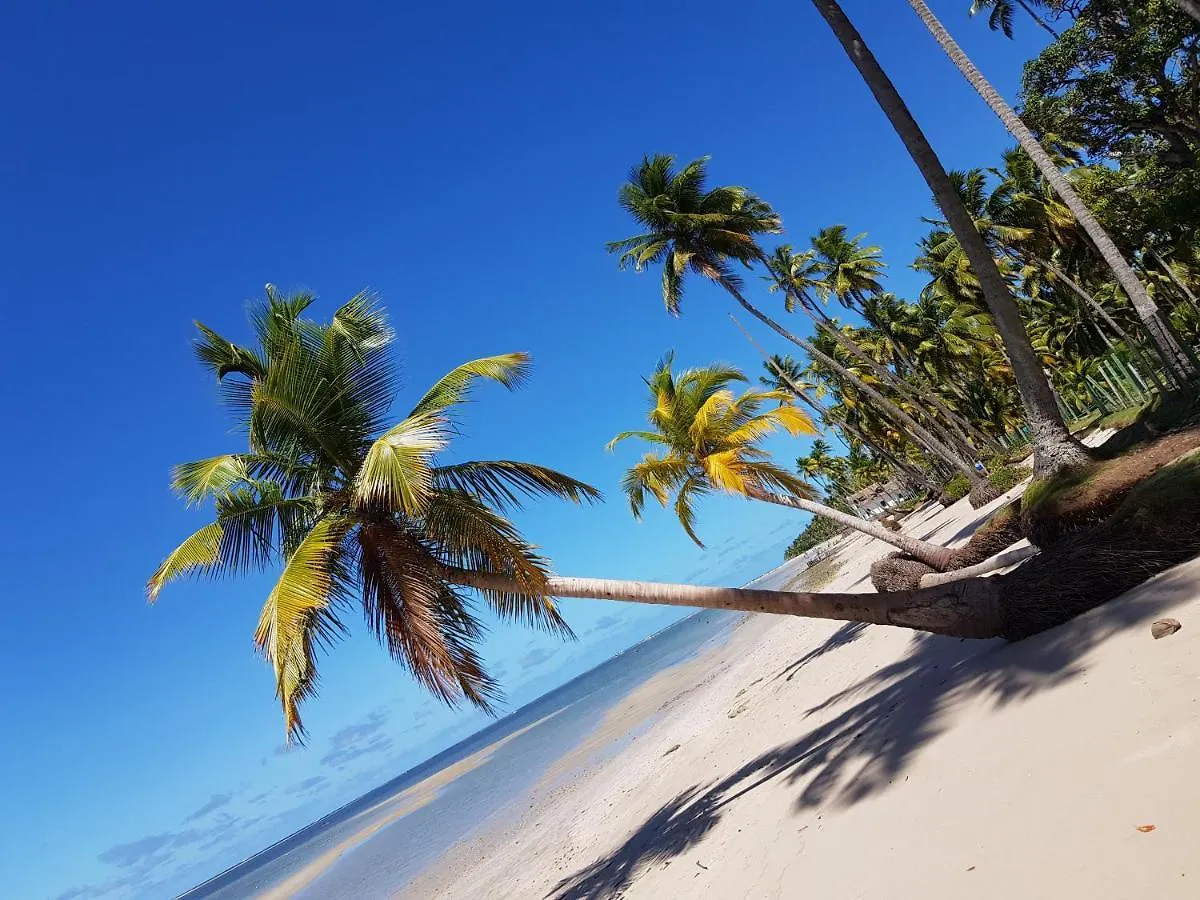 Bangalo A Beira Mar Na Praia Dos Carneiros Villa Recife 0*,
